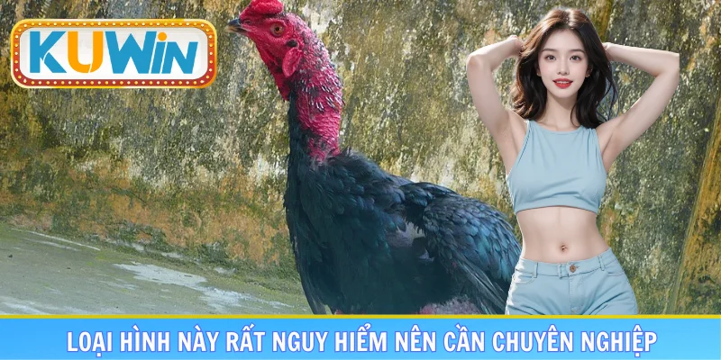 Loại hình này rất nguy hiểm nên cần chuyên nghiệp