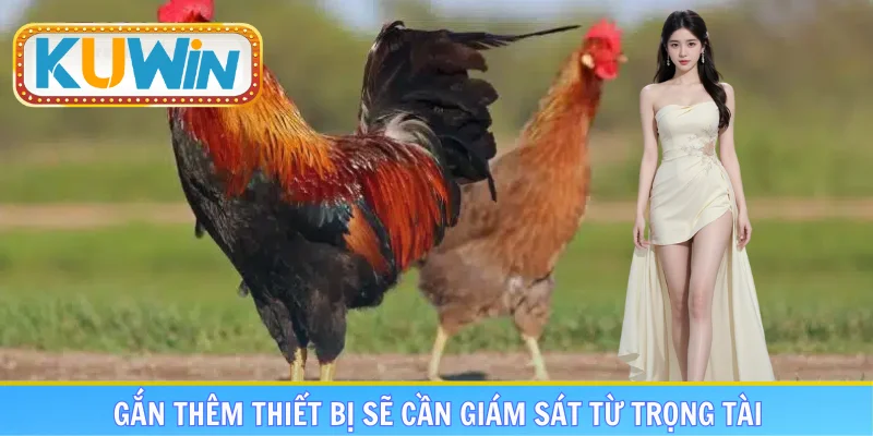 Gắn thêm thiết bị sẽ cần giám sát từ trọng tài
