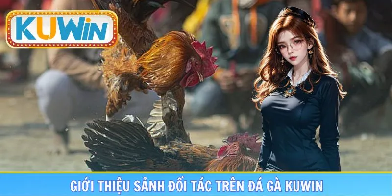 Đánh giá những sảnh đối tác liên kết hàng đầu trên website