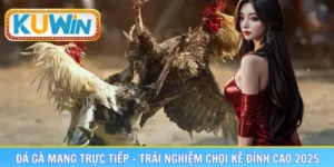 Đá gà mạng trực tiếp
