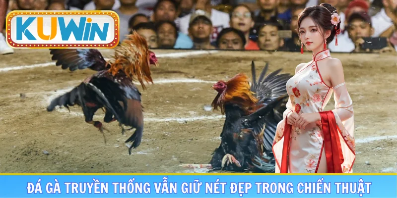 Đá gà truyền thống vẫn giữ nét đẹp trong chiến thuật
