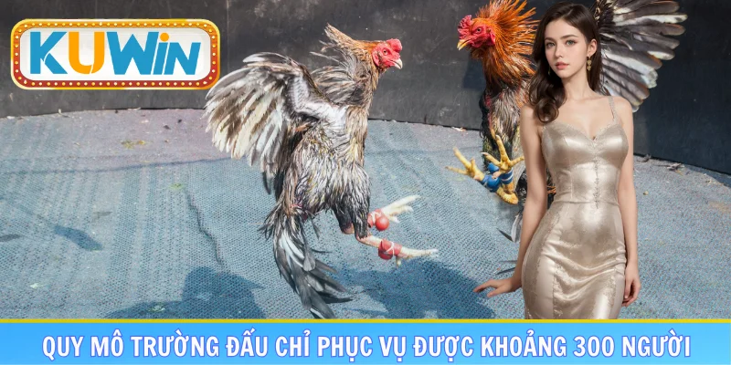 Quy mô trường đấu chỉ phục vụ được khoảng 300 người