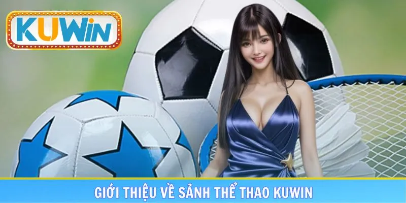 Khái quát những đặc điểm chung về sảnh thể thao KUWIN